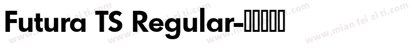 Futura TS Regular字体转换